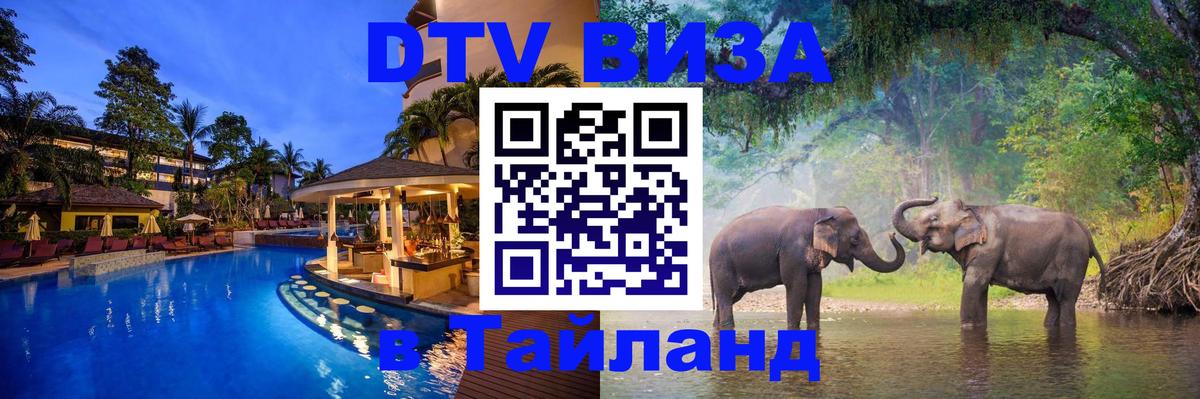 Сколько стоит DTV виза — актуальные цены, оформление даже без документов - 06.12.2025 